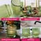 Kate Aspen Ribbed Green Glass Votive Candle Holder Set, 6ct.